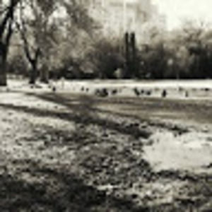 Meet your Posher, Shawna